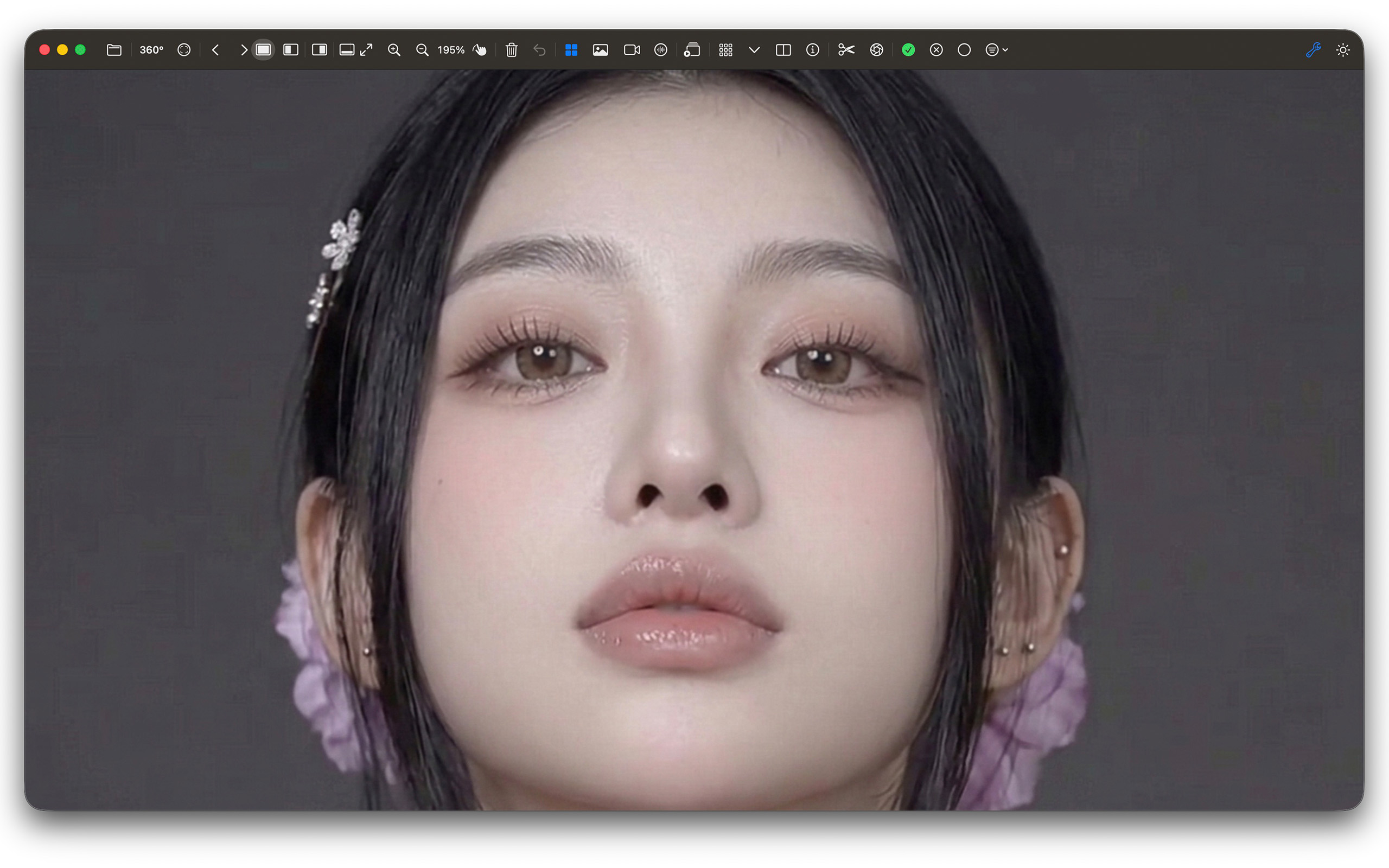 A portrait enlarged to 195 percent in Fovelio