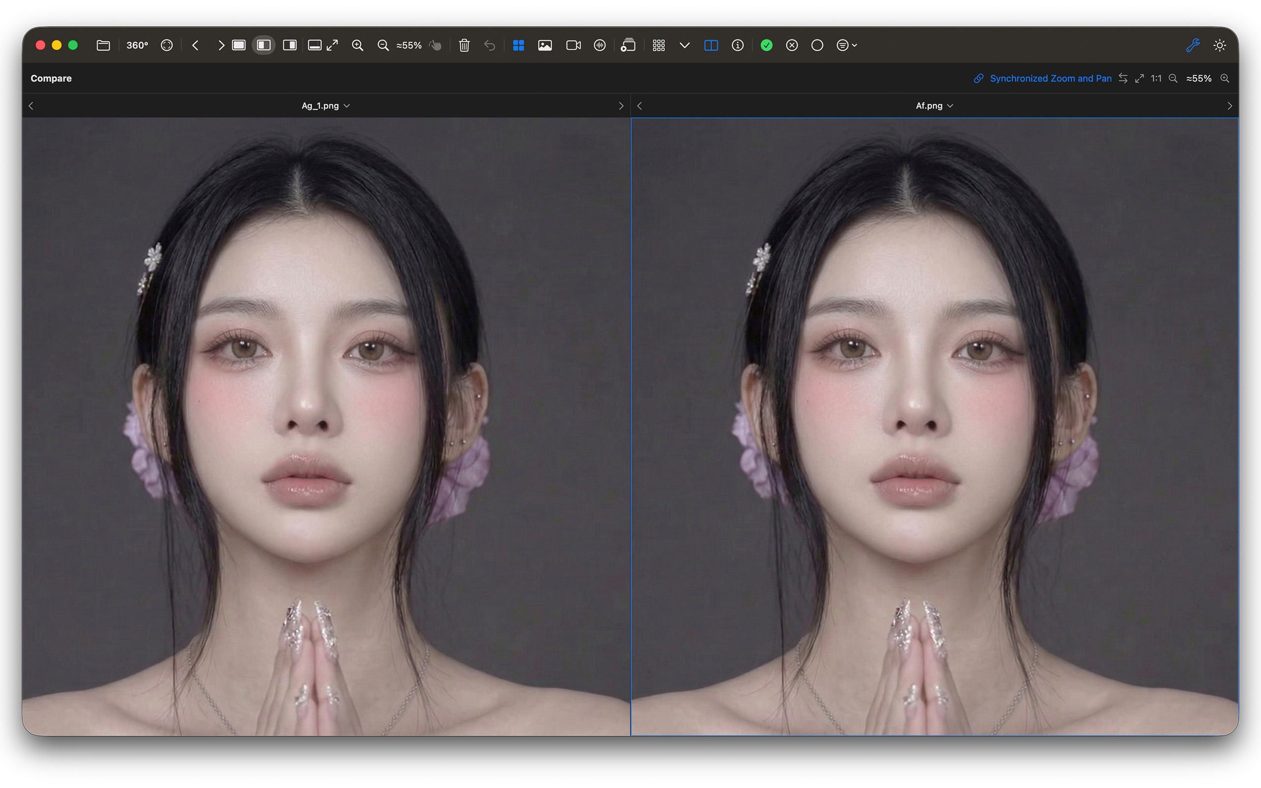 Fovelio comparing two images with synchronized zoom and pan
